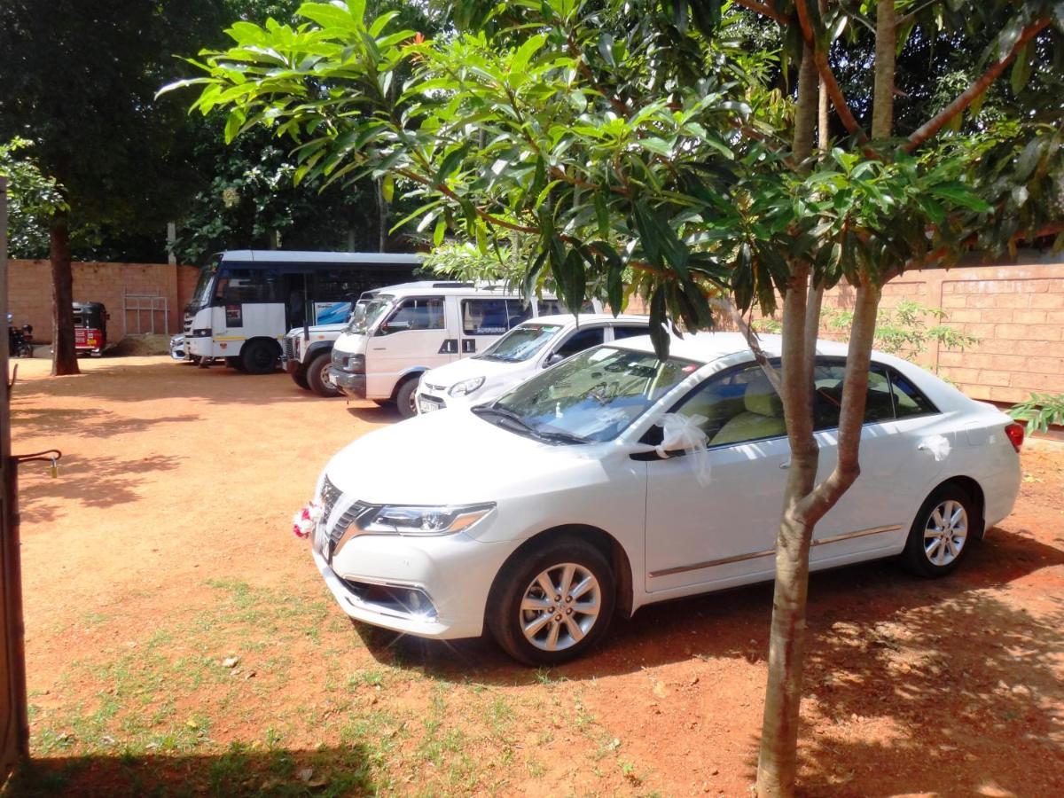 Honey Tree Polonnaruwa Hotell Exteriör bild